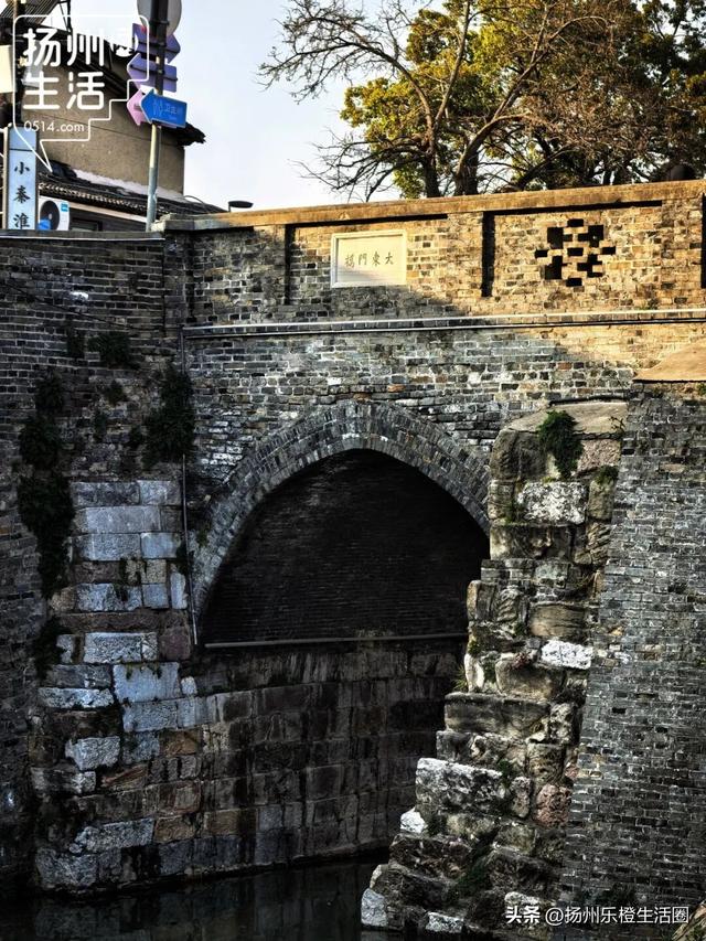 从历史中“长”出未来！扬州这条河正在“逆生长”