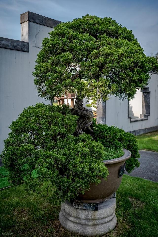 全部免费！扬州最值得一去的6个宝藏景点，好玩又好拍，赶紧收藏