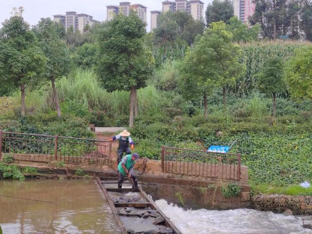 滇中新区提速“绿美新区”建设，绘就宜居宜业宜游新图景
