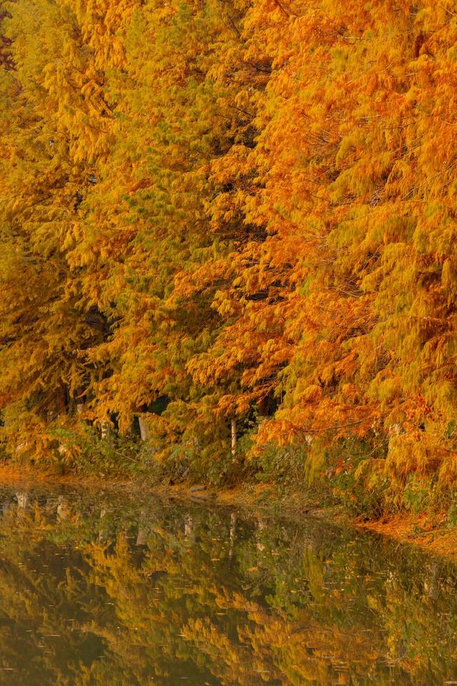 串场河畔，藏着 “橙黄橘绿” 的浪漫暴击~