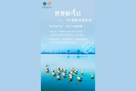 世界候鸟日：生态电网 和谐共生图片