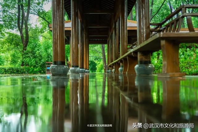 狂降10℃，武汉最凉快的一周，这样玩