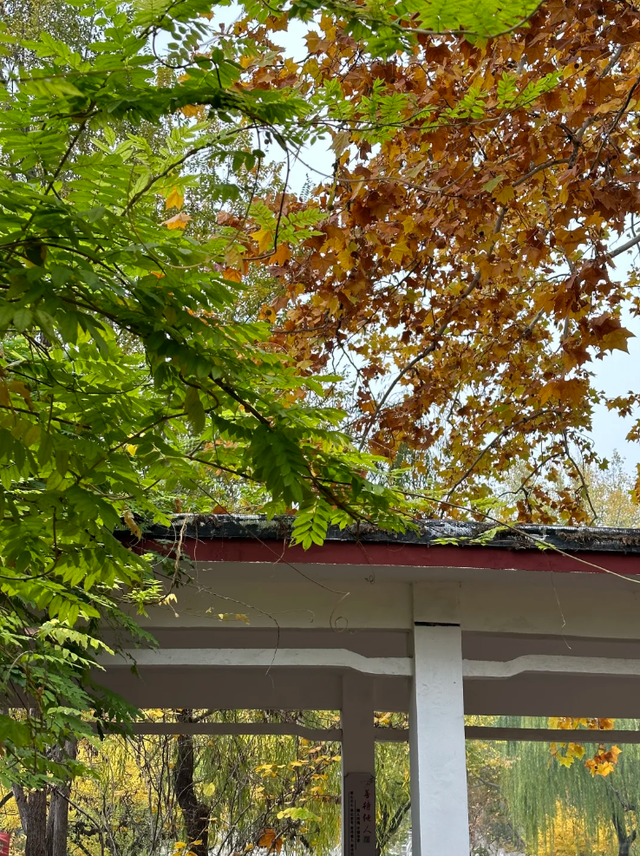 去公园，寻找城市的“书签”