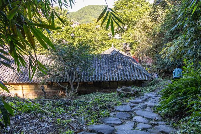 普洱游之那柯里