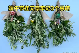 明日端午节是“凶日”，挂艾草牢记3个忌讳：1不挂、2不采、3讲究图片