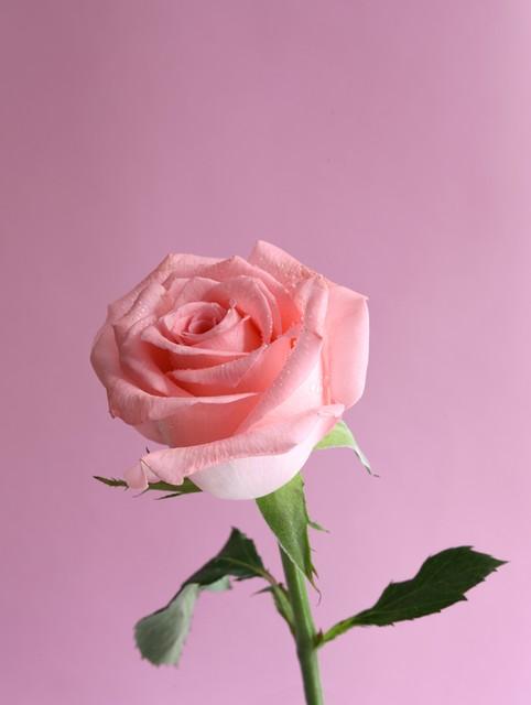 对老公寒心后，女人这么做，不离也能活得漂亮