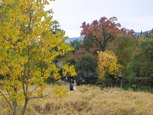 刷屏朋友圈的黟县秋！在这里，慢享“退休式周末”~ | 皖美冬日 | 第十五届安徽国际文化旅游节