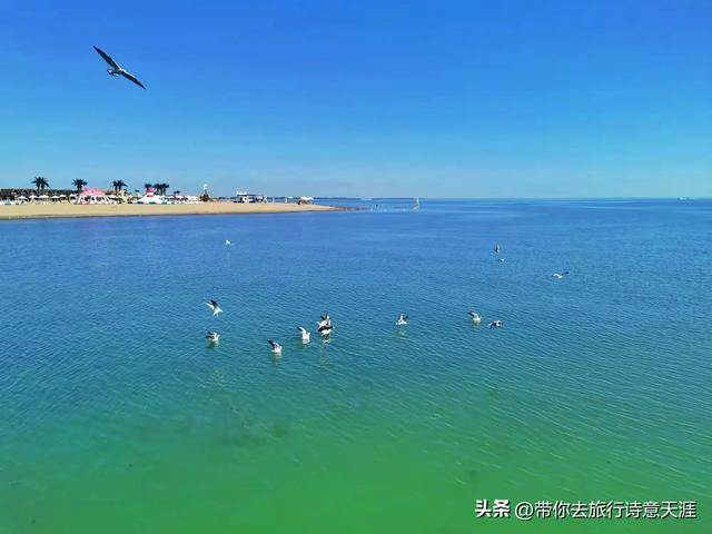 南疆旅游十景区,题小诗11首赞之