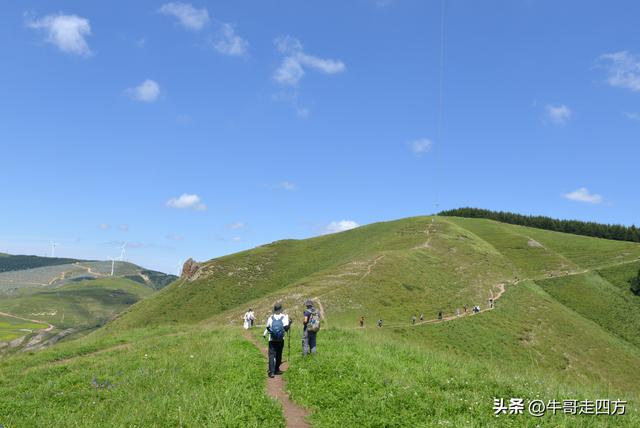 河北麻田岭（上）：绿野铺毡接云影、风轮伴路探山魂