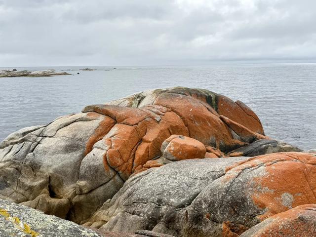 澳大利亚22日世界文化遗产与自然之旅游记+攻略