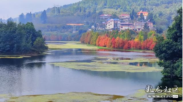 山水入画秋意来