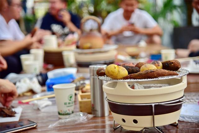 落花成茶韵！佛山卡玛缤纷花世界解锁沉浸式养生体验，干茶花变身冬日新宠