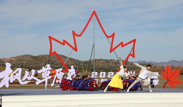枫从草原来！2025兴安盟五角枫文化旅游季燃情开启