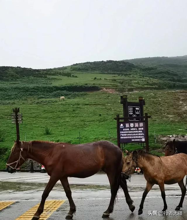 多彩贵州自驾游之盘州篇:天青烟雨走乌蒙
