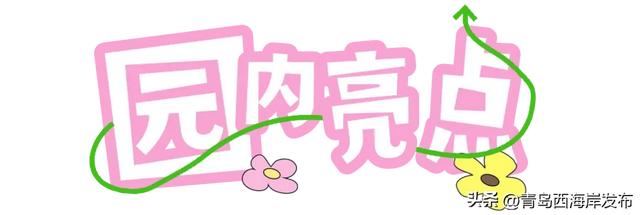 免费送票！西海岸这片牡丹花海惊艳全城