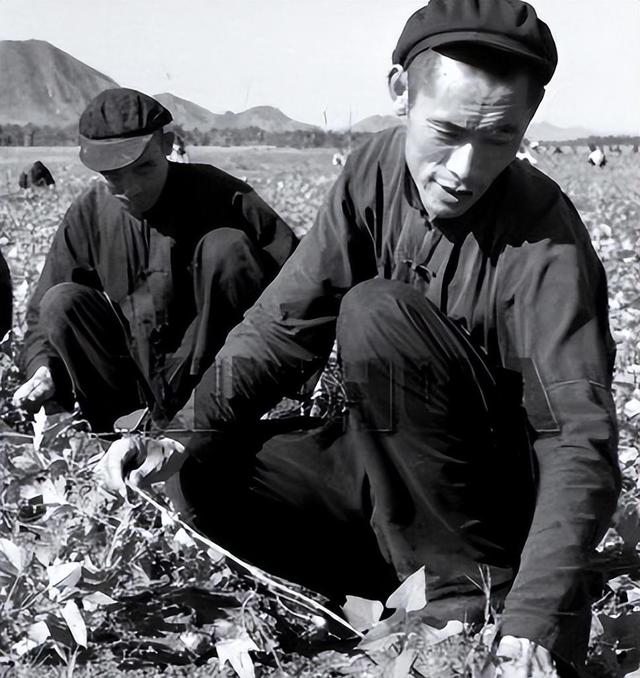他曾受毛主席接见10次，还被写进文章，78年被免去所有职务，为何