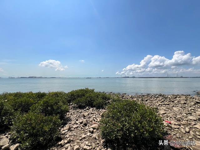 游南沙海滨公园