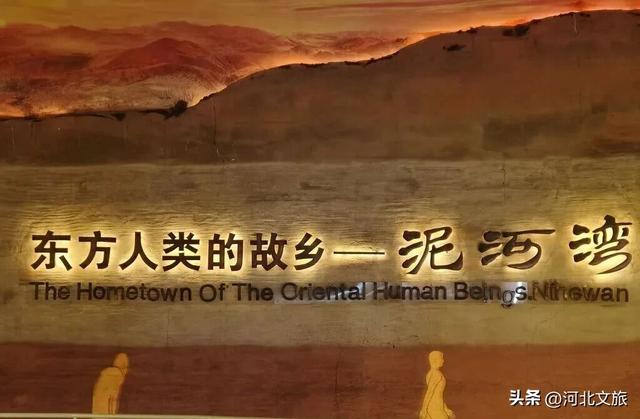 现在正好，独享奇妙！周末错峰打卡博物馆，赴一场深度探秘的“宝藏”之旅