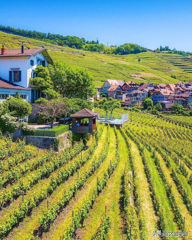 云端阆苑仙境，全球三大绝美梯田景观，个个世界文化遗产