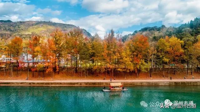 收好这份温州《红枫古道地图》，挑个好天气出门走走！