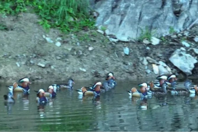 年休假去哪嗨？黄山文旅8月狂欢已就位，快乐密码就藏在这片山水里！| 皖美夏日
