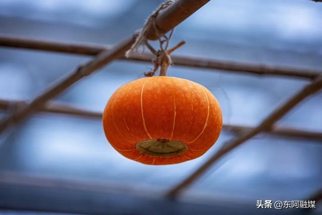 古人靠漕运文书通关，今天你的 “聊城文牒” 缺哪一站？（下）