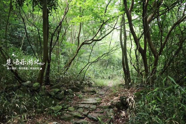 宁波这个山岙藏着一处秘境，既有清溪又有营地，不过景色变化很大