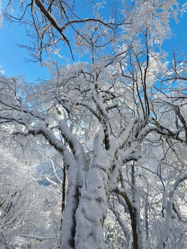 梦幻雪景天花板！龙头山冬日冰雪秘境太绝了！