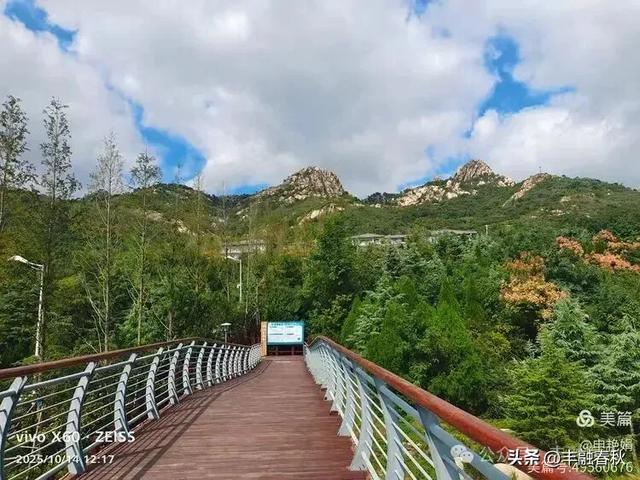浮山漫记：藏在青岛城央的自然诗篇｜申艳娟