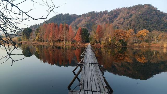 共创记（6）—— 人渐聚，院渐成