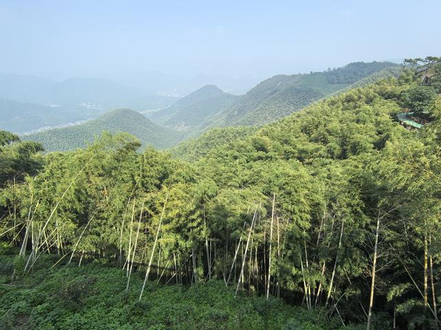 浙江湖州市德清县莫干山国家级风景名胜区游记（上）