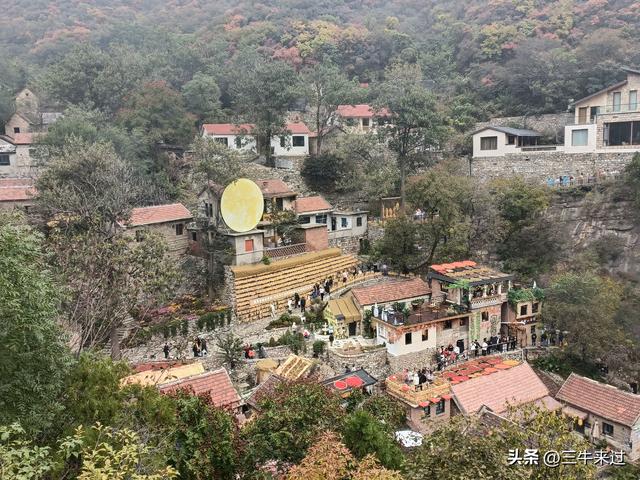 无为在歧路，柿岩之红叶