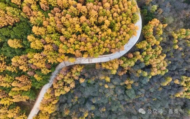 镜瞰秦州·悦秋