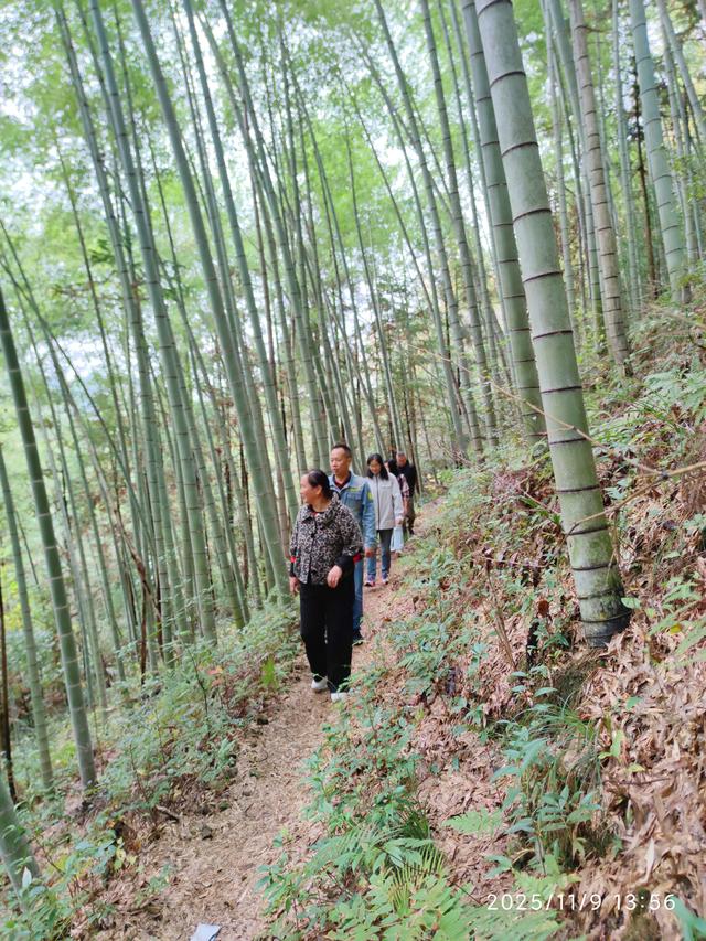 仙居县谷坦水库环线走，半山深处藏人家，依山傍水远繁华