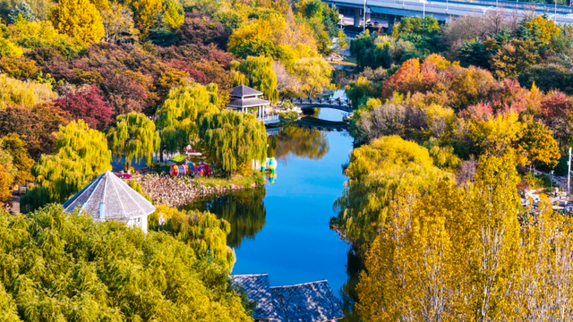 潍坊美景“告急”！这些地方错过等一年！