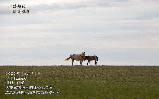 达茂时讯丨2025年10月31日 达茂旗“飞”出最年轻航天员
