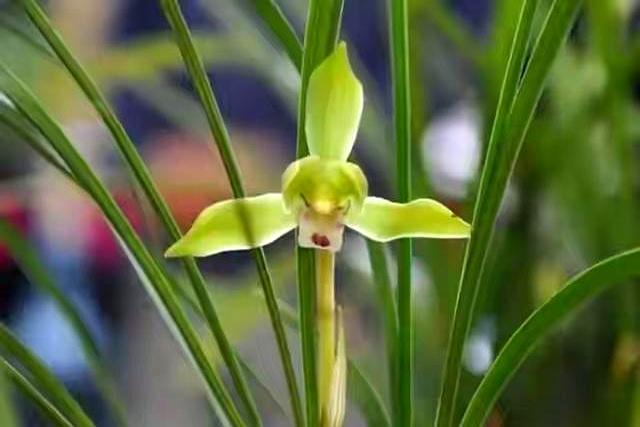 两性关系：男人过65岁、基本上都会有如下现状，具体表现是这样的