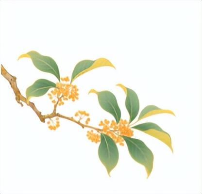 这个中秋，别错过临沂的“月”与“悦”