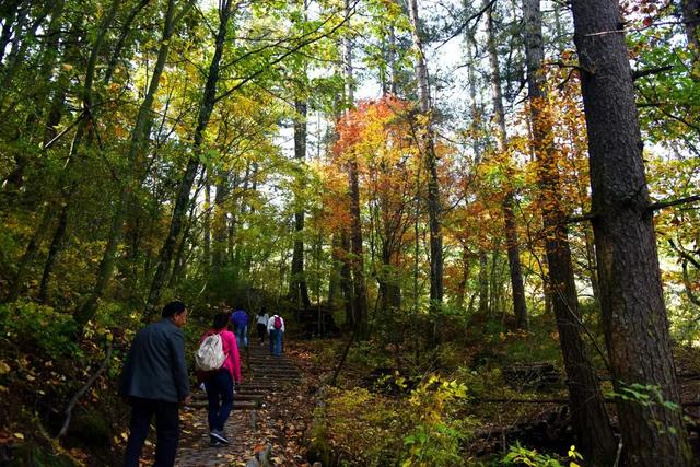 太洋公路已通车！去黄柏塬赏秋现在就出发！