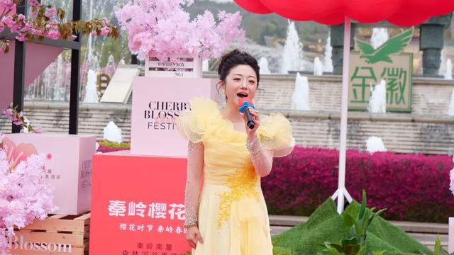 2026年徽县第八届金徽酒秦岭樱花节启幕