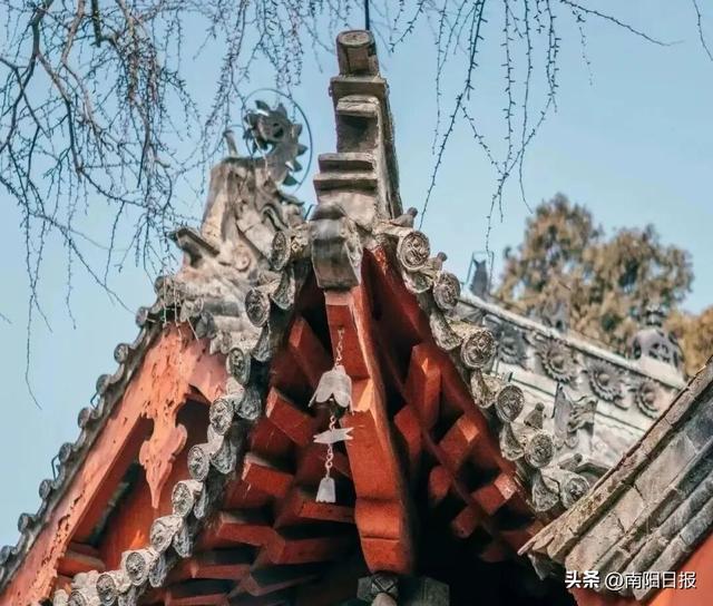 双节同庆 畅游南阳｜南阳市中心城区一日游，教你避开人从众！探索低调小城最in的旅行方式！