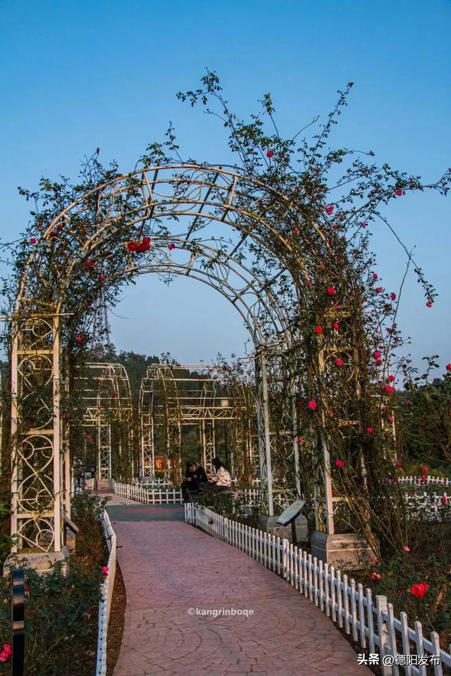 最新实拍！德阳东湖山都美成啥样了啊？太夸张了