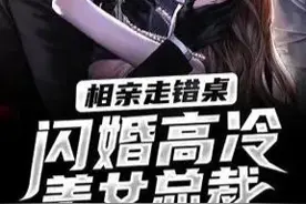 相亲走错桌，闪婚高冷美女总裁（230-250）图片