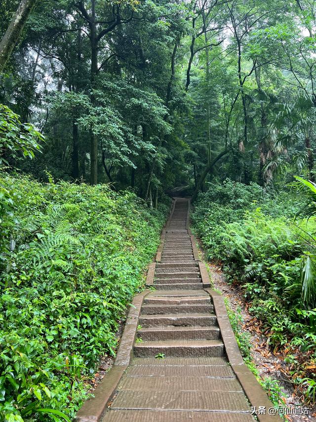 青城山，来过了，说几句