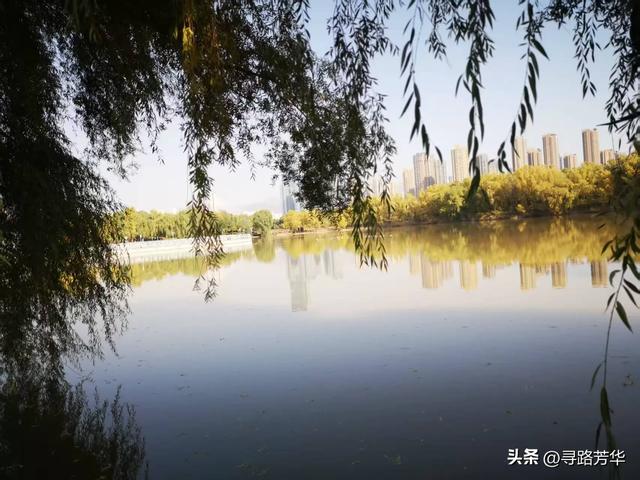 银滩湿地公园的秋日午后时光