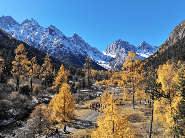 免门票丨毕棚沟献给全国师生们的秋日礼物！