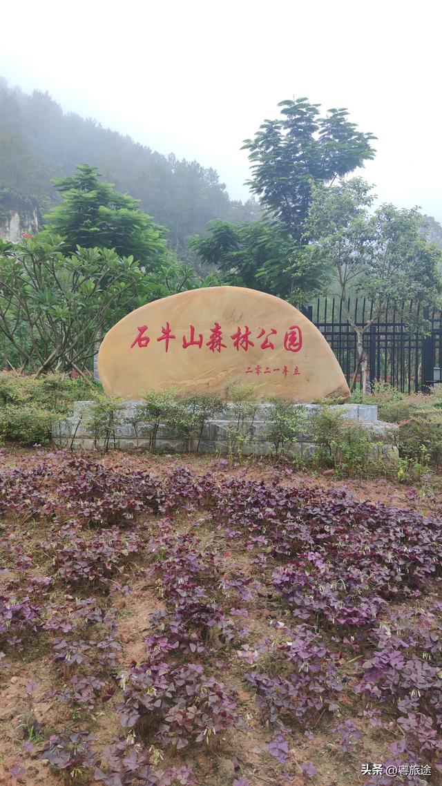 这个假期，来一次罗定石牛山，这里有风景有故事