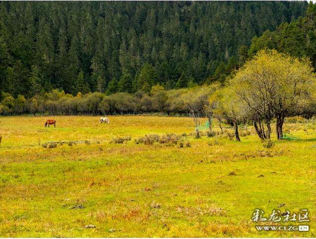 秋天的影像诗 普达措国家森林公园的秋天静谧安详，如诗如画