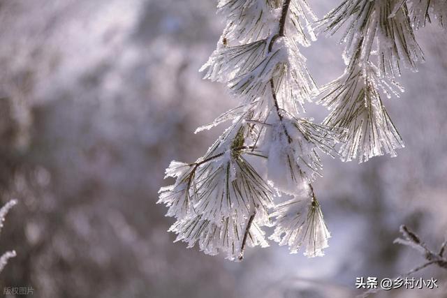 今年哪天入九？哪天出九？冬天会特别冷吗？答案来了