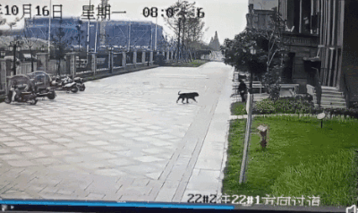 远离禽兽